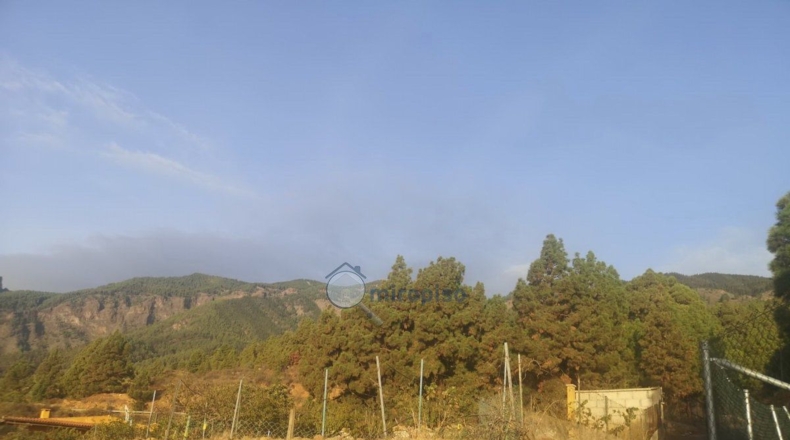 Santa Creu de Tenerife - Arafo - 3800m2