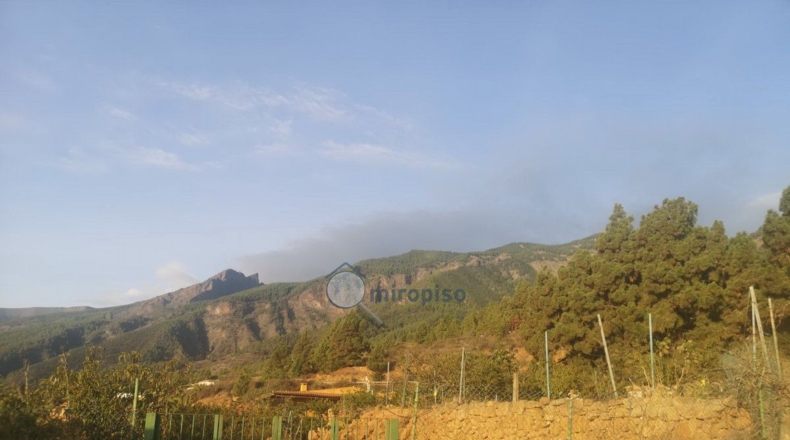 Santa Creu de Tenerife - Arafo - 3800m2