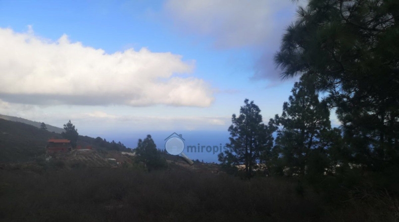 Santa Creu de Tenerife - Arafo - 10986m2