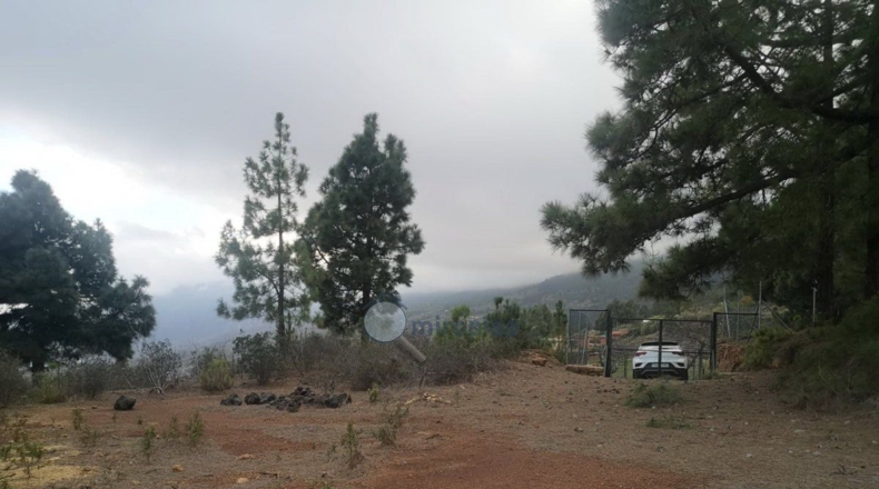 Santa Creu de Tenerife - Arafo - 10986m2