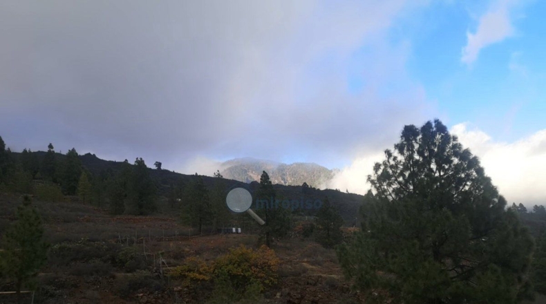 Santa Creu de Tenerife - Arafo - 10986m2