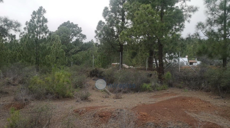 Santa Creu de Tenerife - Arafo - 10986m2
