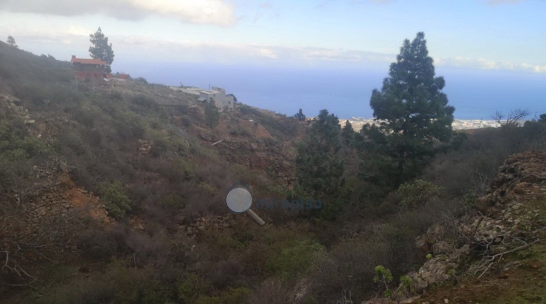 Santa Creu de Tenerife - Arafo - 10986m2