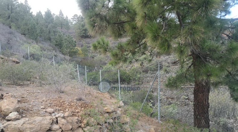 Santa Creu de Tenerife - Arafo - 10986m2