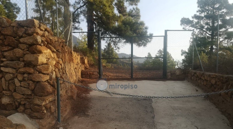 Santa Creu de Tenerife - Arafo - 10986m2