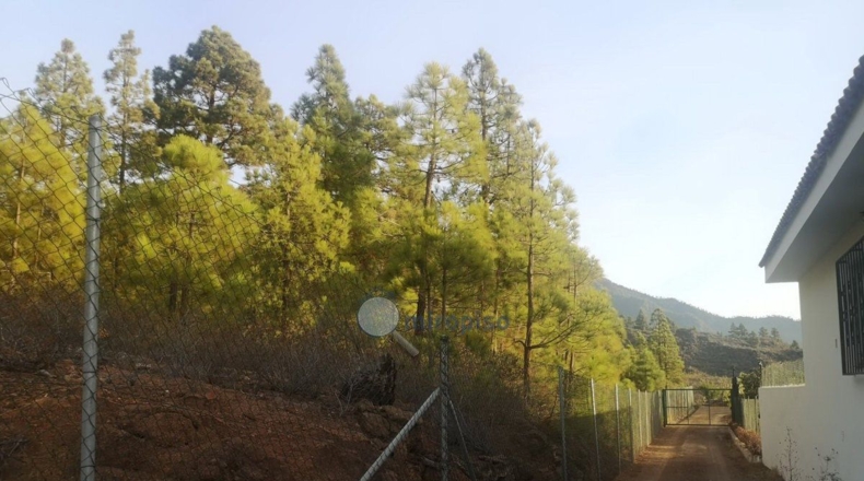 Santa Creu de Tenerife - Arafo - 10986m2