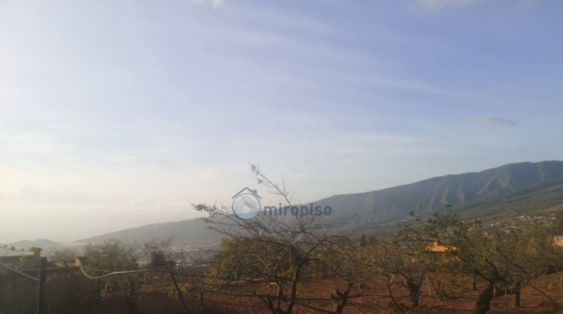 Santa Creu de Tenerife - Arafo - 10986m2