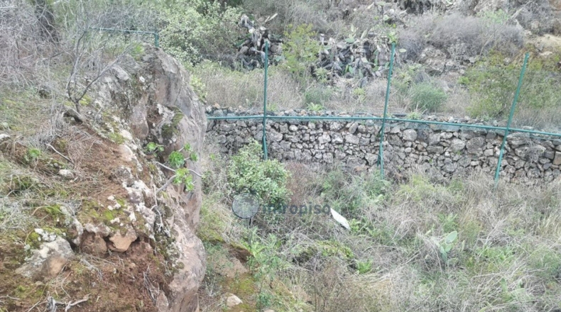 Santa Creu de Tenerife - Arafo - 10986m2
