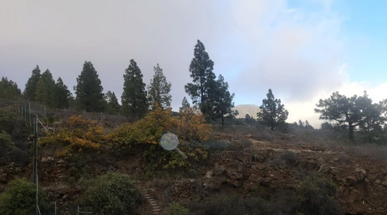 Santa Creu de Tenerife - Arafo - 10986m2