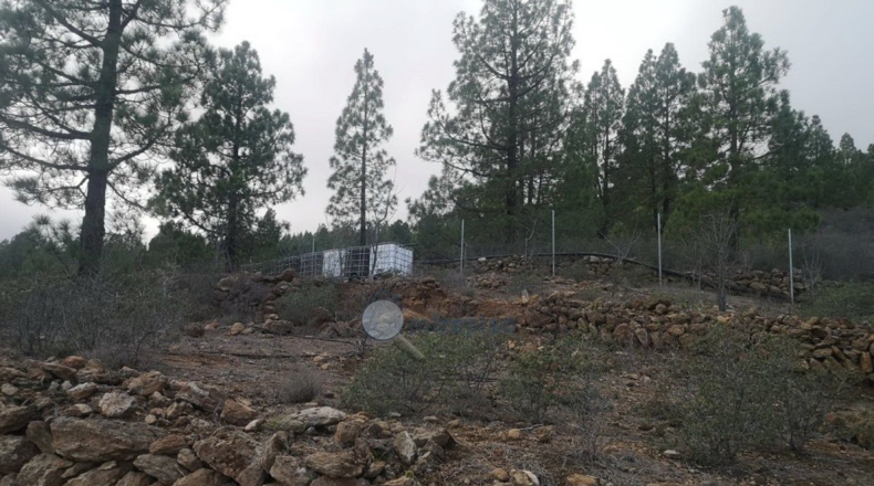 Santa Creu de Tenerife - Arafo - 10986m2