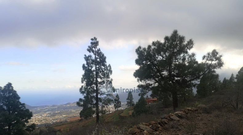 Santa Creu de Tenerife - Arafo - 10986m2