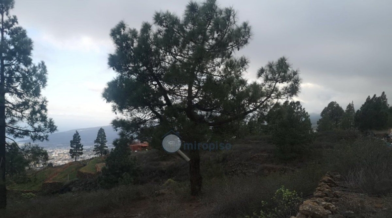 Santa Creu de Tenerife - Arafo - 10986m2