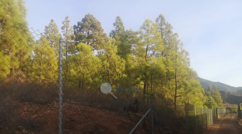 Santa Creu de Tenerife - Arafo - 10986m2