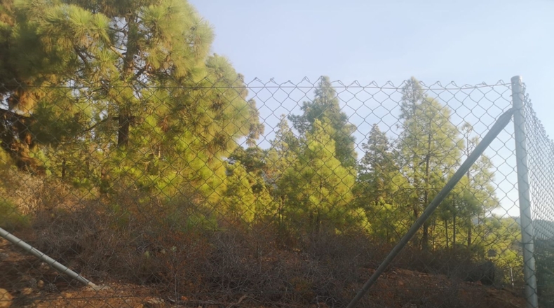 Santa Creu de Tenerife - Arafo - 10986m2