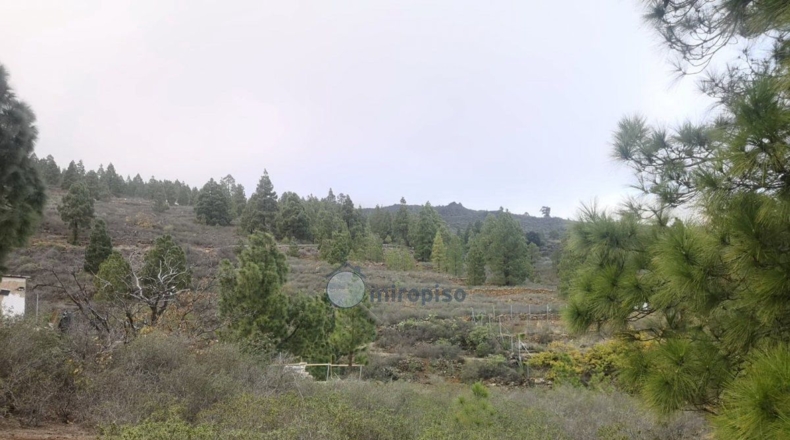 Santa Creu de Tenerife - Arafo - 10986m2