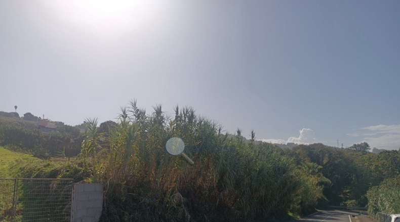 Santa Cruz de Tenerife - Tacoronte - 1756m2