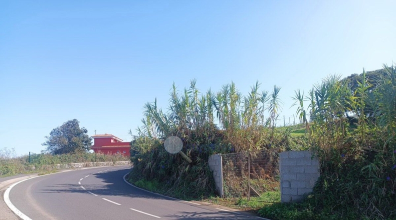 Santa Cruz de Tenerife - Tacoronte - 1756m2