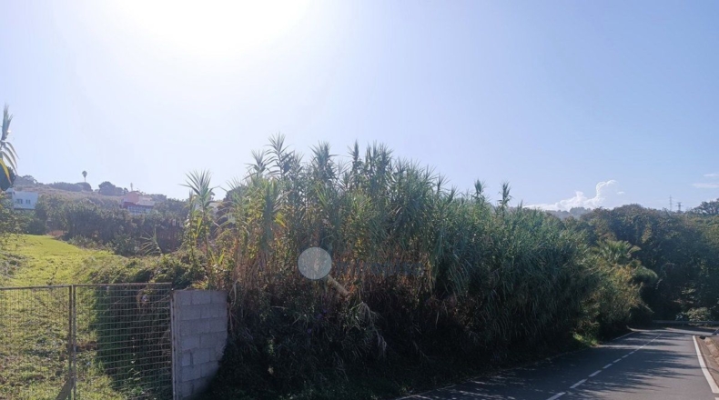 Santa Cruz de Tenerife - Tacoronte - 1756m2