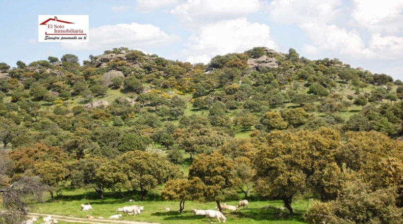 Toledo - Garciotum - 1820m2