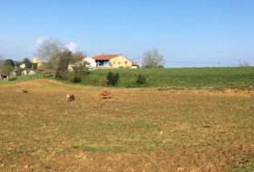 Colombres 800&nbsp;m²