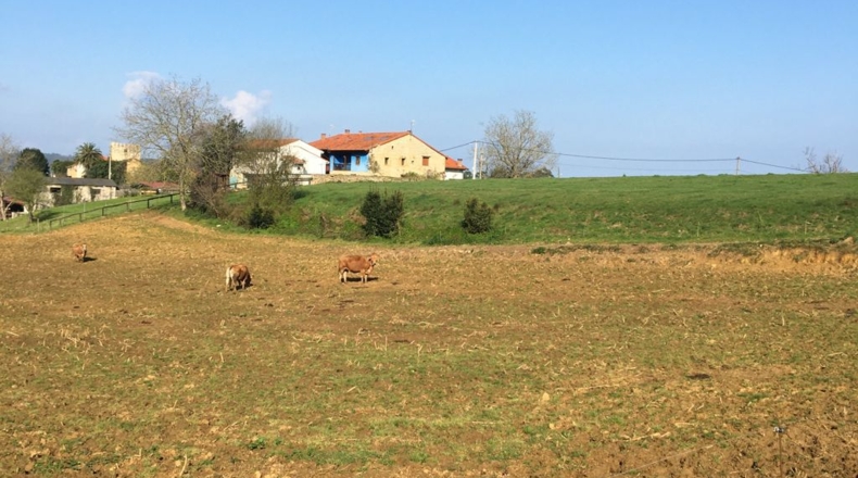 Asturias - Colombres - 800m2