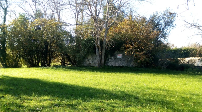 Asturias - Quintana - 7000m2