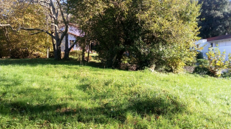 Asturias - Quintana - 7000m2