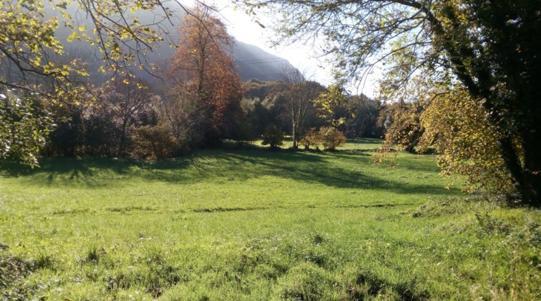 Asturias - Quintana - 7000m2