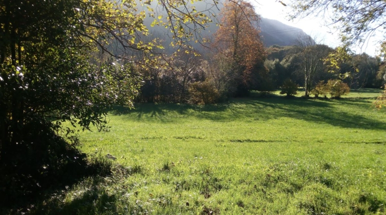 Asturias - Quintana - 7000m2