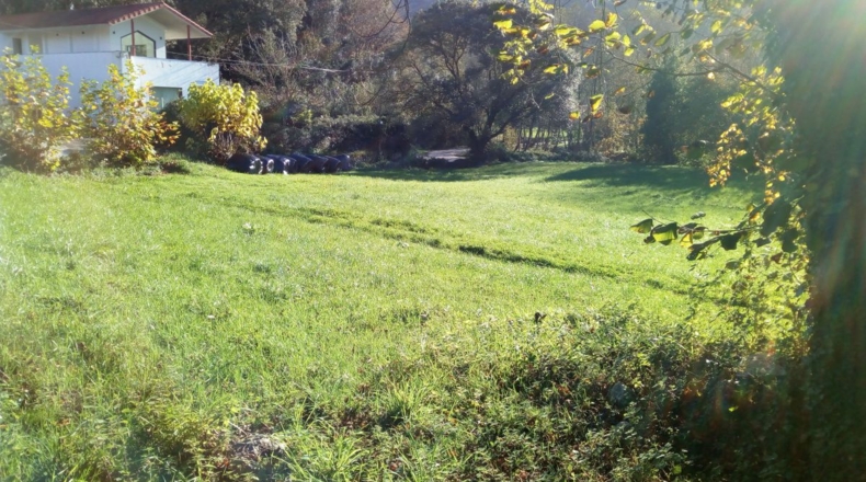 Asturias - Quintana - 7000m2