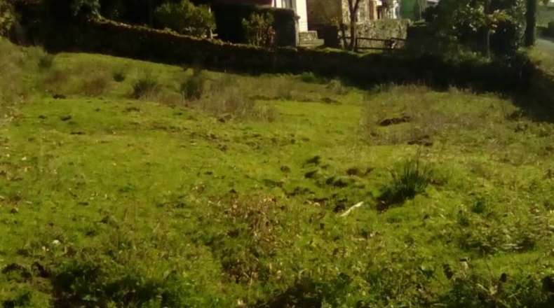 Astúries - Pie de la Sierra - 3900m2