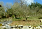 Finca rústica en venta en Llanes ref: TR191584 foto