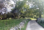 Sòl urbà en venda a la España, Llanes, ref.: TR111038 foto