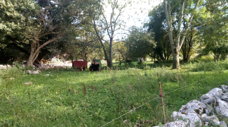 Asturias - La Galguera - 1700m2