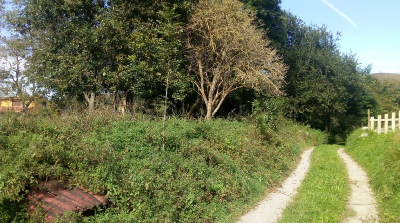 Asturias - La Galguera - 1700m2