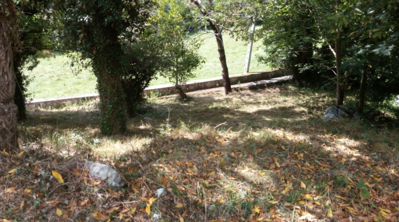 Asturias - Celoriu - 1275m2