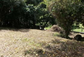 Llanes 1275&nbsp;m² 