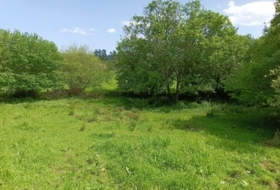 Llanes 1220&nbsp;m² 