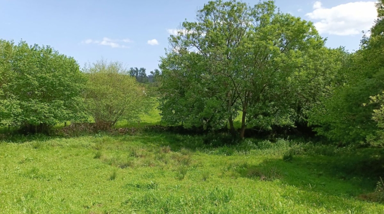 Asturias - La Borbolla - 1220m2