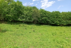 Llanes 1220&nbsp;m² 