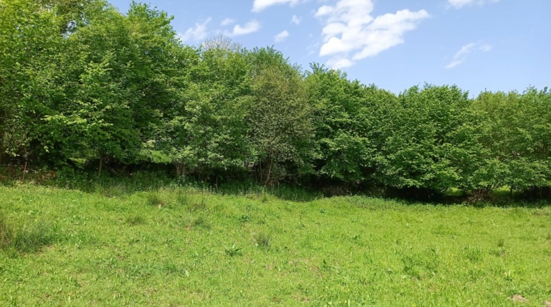 Asturias - La Borbolla - 1220m2