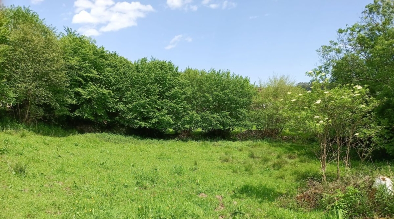 Asturias - La Borbolla - 1220m2