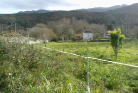 Llanes 2157&nbsp;m² 