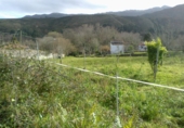 Sòl urbà en venda a Llanes ref.: TR111031 foto
