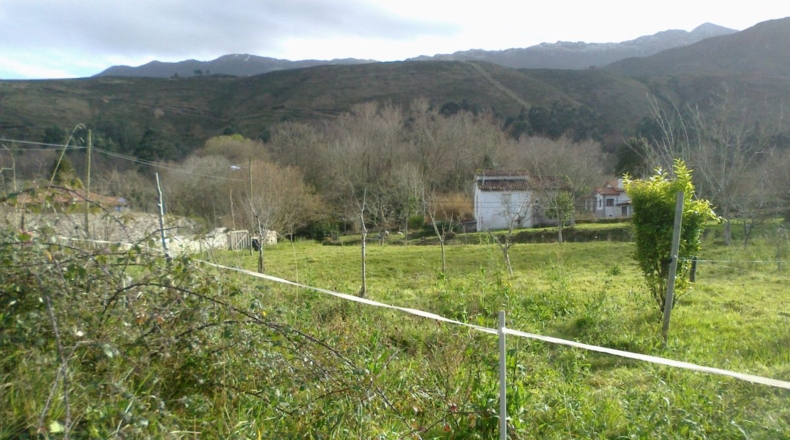 Asturias - La Somada - 2157m2