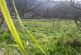 Llanes 2157&nbsp;m² 