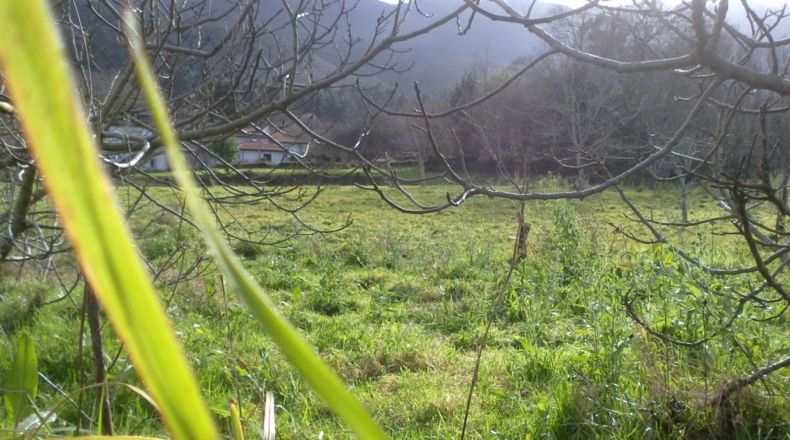 Asturias - La Somada - 2157m2