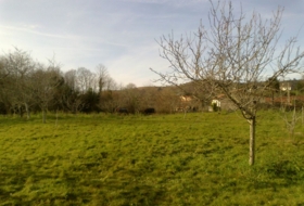 Llanes 2157&nbsp;m² 