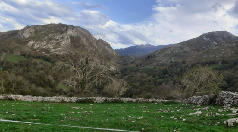 Astúries - La Pereda - 78m2