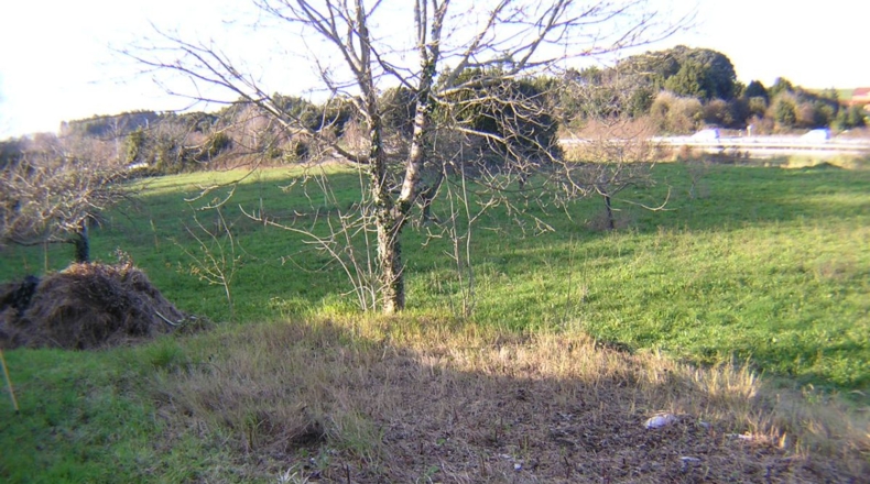Asturias - Hontoria - 2200m2
